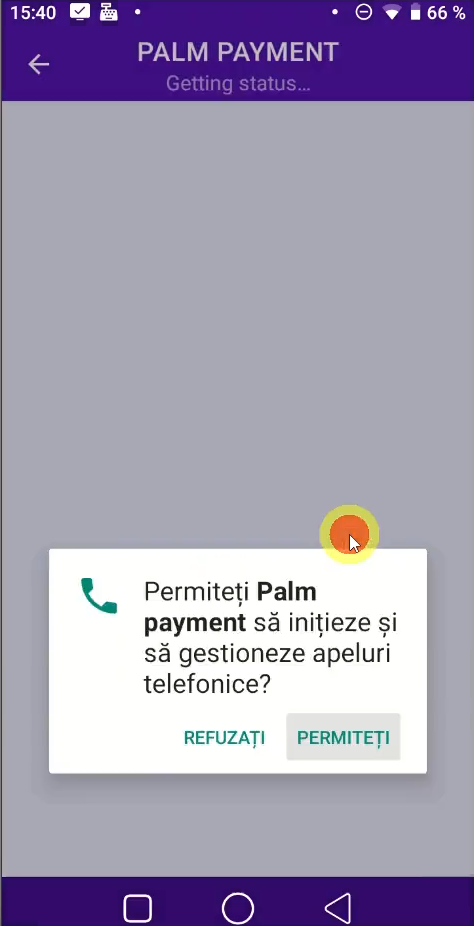 Palm Payment permission dialog — the PERMITEȚI button