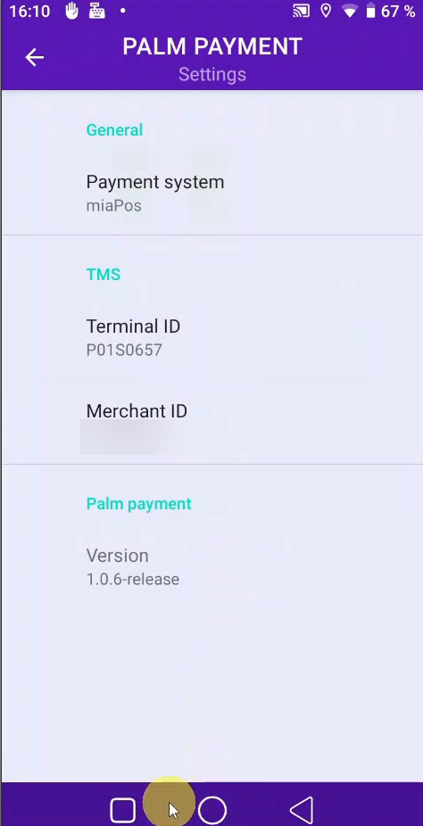 Palm Payment Settings — Terminal ID and Merchant ID